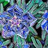"Star Flower" 10" x 8" Acrylic on Canvas