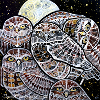 "Family Portrait" 20" x 20" Acrylic on Canvas original sold